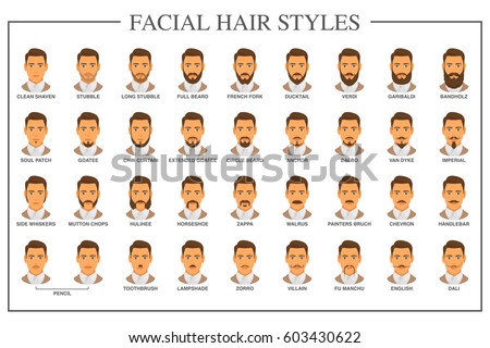 Beard Style Guide Facial Hair Types Stock Vector (Royalty 