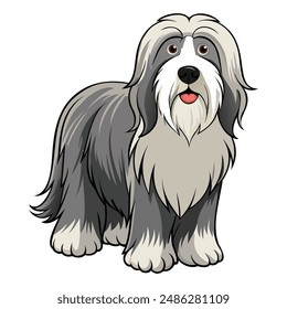 Bearded Collie Dog breed vector illustration isolated on white background in cartoon style.