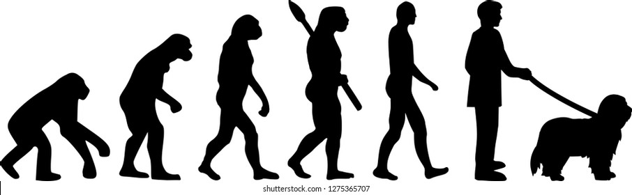 Bearded Collie dog evolution development with silhouette 