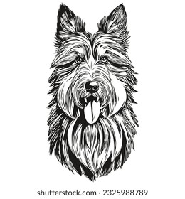 Retrato vectorial de cara de perro Collie con barba, ilustración de mascota de contorno divertido fondo blanco