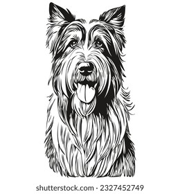 Bearded Collie dog face vector portrait, funny outline pet illustration white background realistic pet silhouette