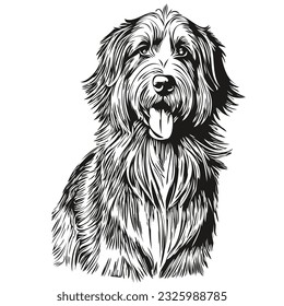 Bearded Collie dog logo vector black and white, vintage cute dog head engraved