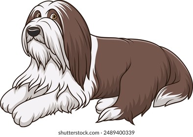 Bearded collie dog lying down vector illustration