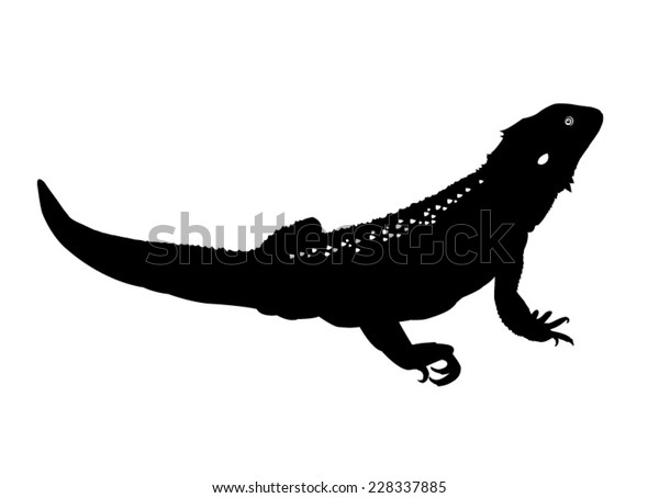 Download Bearded Dragon Beardie Silhouette Stock Vector (Royalty ...