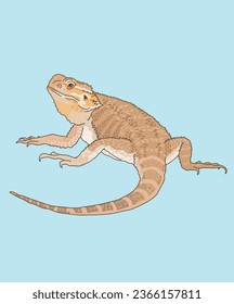 Bearded Dragon Lizard Reptile Side View