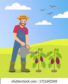 Bearded man wearing hat and uniform watering eggplants standing at green hills background in countryside. Agriculturer care about growing vegetables. Beautiful rural landscape at background.