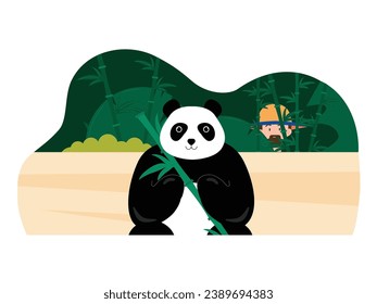 A bearded ranger wearing a hat is hiding and watching a small panda eating bamboo. Character design. Vector flat illustration