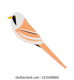 Bearded reedling tit (Panurus biarmicus) isolated on white. Vector stock illustration