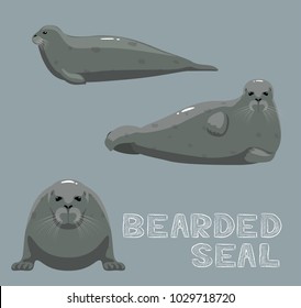 Bearded Seal Cartoon Vector Illustration