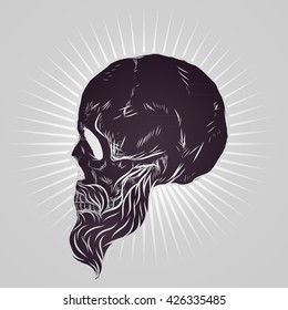 Bearded skull vector