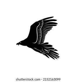 Bearded vulture bird silhouette vector illustration abstract