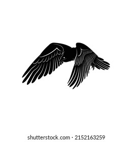 Bearded vulture bird silhouette vector illustration abstract