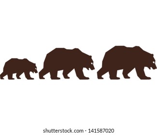 Bears