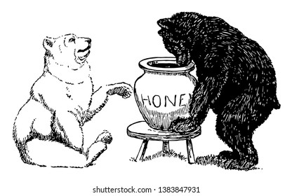 Bears 3, this picture shows black bear looking into jar which is kept on small table and white bear looking at him, vintage line drawing or engraving illustration