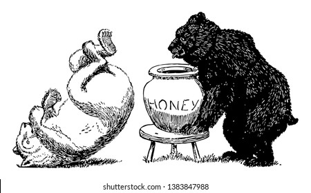 Bears 6, this picture shows black bear pushed white bear, and white bear fall down on ground, black bear holding jar of honey, vintage line drawing or engraving illustration