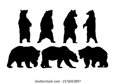 Bears. Black and white illustrations isolated svg