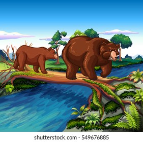 Bears crossing a river on a log