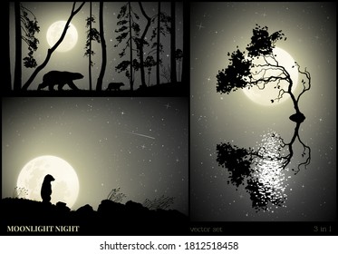 Bears family silhouette. Animal and lonely tree. Moon in starry night