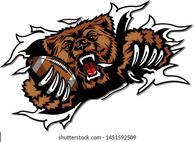 bears football mascot holding ball in claw ripping through background for school, college or league