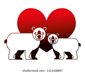 bears grizzly with heart isolated icon