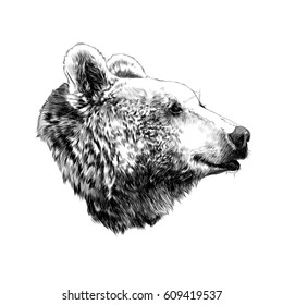 the bear's head profile looking into the distance, sketch vector graphics,  black and white  pattern