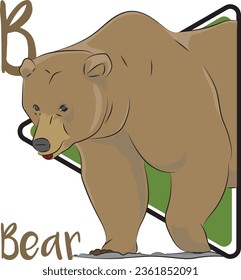 Bears are mammals that belong to the family Ursidae. They're found throughout North America, South America, Europe, and Asia. They have nonretractable claws and short tails