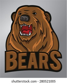 Bears Mascot 