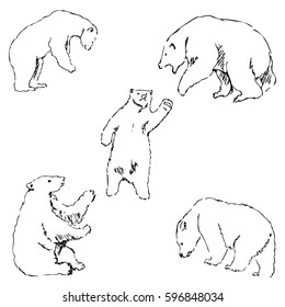 The Bears. Sketch by hand. Pencil drawing by hand. Vector image. The image is thin lines.