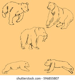 The Bears. Sketch by hand. Pencil drawing by hand. Vector image. The image is thin lines. Vintage colors