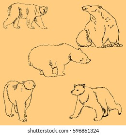 The Bears. Sketch by hand. Pencil drawing by hand. Vector image. The image is thin lines. Vintage colors