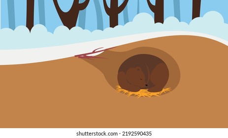 bears sleep in a den