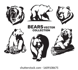 Bears vector collection . Illustration isolated on white background for print and poster. Emblems, symbols set. Can be used for T-shirts print, labels, badges, stickers, logotypes.Typography design.