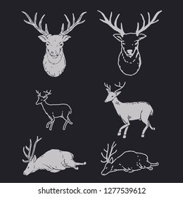 Bears, vintage hand drawn