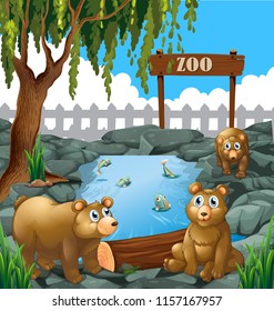Bears in the zoo illustration