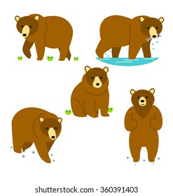 Bear,Vector character set.
