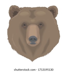 beast bear face head Cartoon Animal Vector