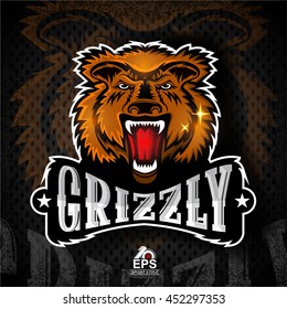 Beast face from the front with bared teeth. Logo for any sport team grizzly