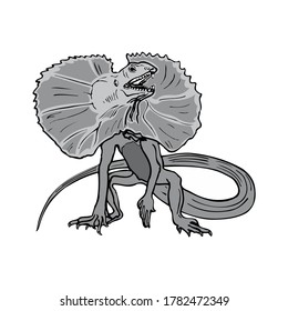 Beast Frilled lizard Animal reptile Design