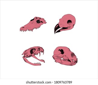 Beast skulls vector. Perfect for your clothing design.