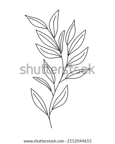 beatiful classical branch over white