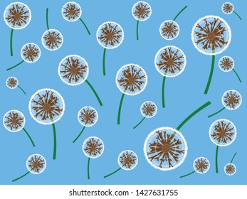 Beatiful dandelions on a blue background, this vector image can be used as a print on the fabric,  for the cover on the notebook, background