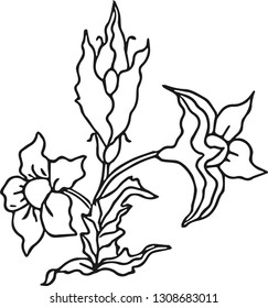 Beatiful flower. Vector illustration.