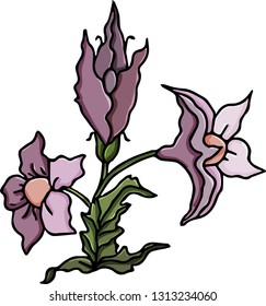 Beatiful flower. Vector illustration.