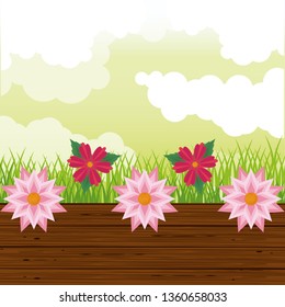 Beatiful garden with flowers scenery
