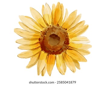 The Beatiful Sunflower Yellow Color 