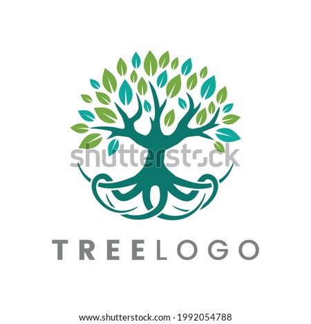 Beatiful Tree logo teamplate vector