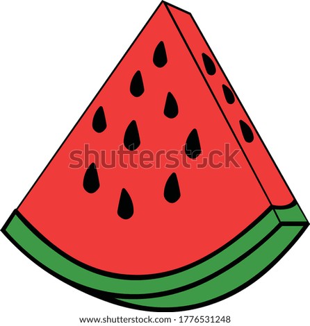 beatiful watermelon vector illustration icon