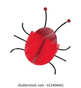 beatle bug icon image 