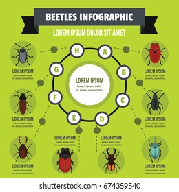 Beatles infographic banner concept. Flat illustration of beatles infographic vector poster concept for web