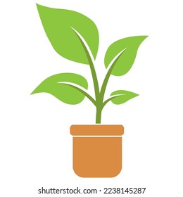 Beatuful flower in a pot asset vector illustration. suitable for editing images placed on a table or in a window.